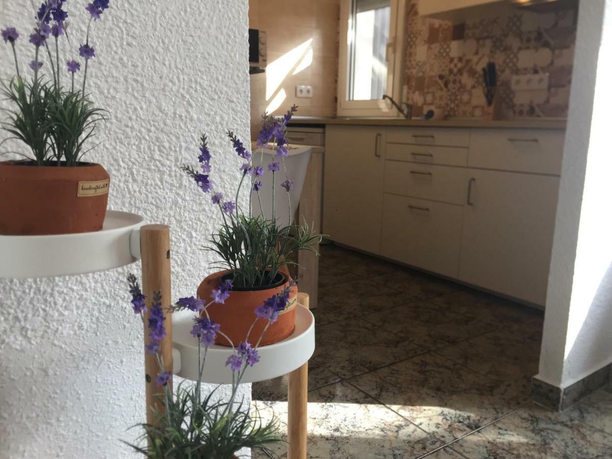 Villa Casa Llurgo à Deltebre Extérieur photo